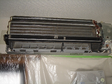 F{kSŃGARN[jO117